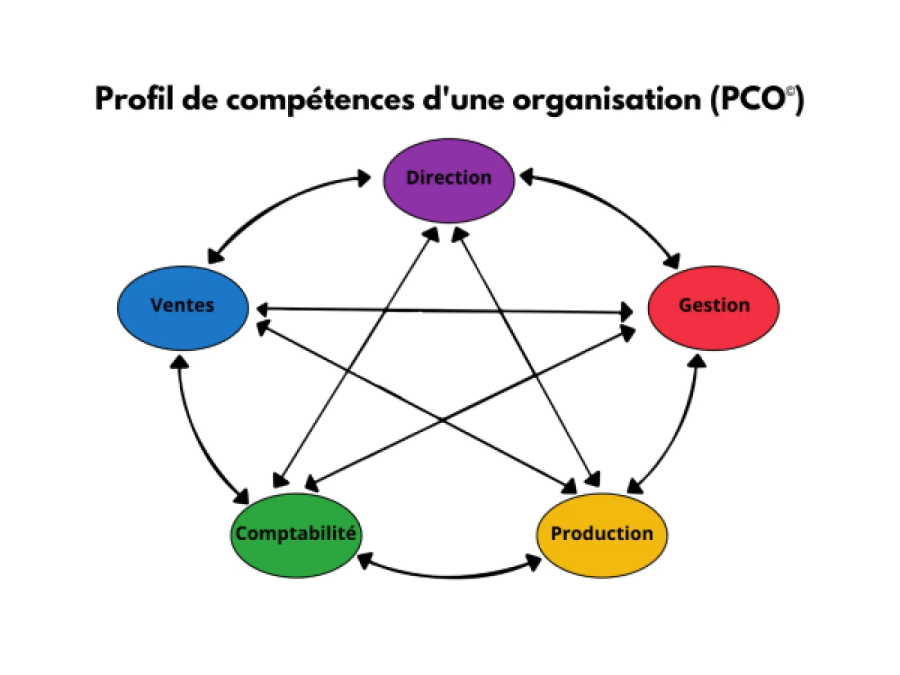 Profil de compétences d'une organisation